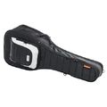 Mono Cases Dual Acoustic + Electric