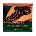 Fisoma F3120M Mandola Strings 80/20