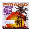Pyramid Ukulele Steel String Concert