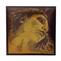 Pirastro Evah Pirazzi Gold E Violin LP