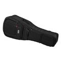 Gator G-PG E/A Double Bag