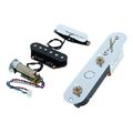 Fishman Fluence Greg Koch Gristle-Tone