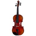 Roth & Junius Europe Antiqued Violin Set 4/4