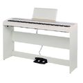 Korg B1SP White