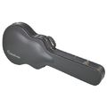 Epiphone 1966 Century Case