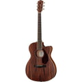Fender PM-3 000 All Mahogany