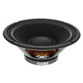 Celestion Pulse 12