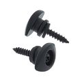 Planet Waves PWEEP102 Elliptical End-Pins