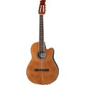 Applause AB24CII Mid Cutaway Nylon