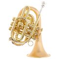 Carol Brass CPT-7000-GLS-Bb-SLB