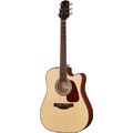 Takamine GD10CE-N