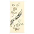 Jockomo Headstock-De Luxe Flowers