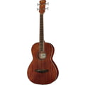 Ibanez PNB14E-OPN Acoustic Bass