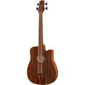 Gold Tone Micro Bass 25 Fretless w/Bag
