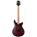 PRS DW CE 24 Floyd Waring Burst