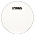 Evans 08" UV1 Coated Tom