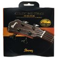 Ibanez IABS4XC Acoustic Bass Strings