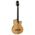 Shadow Guitars JM-CA 44 CA Style Steel String