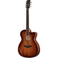 Framus FF 14 M Folk VS Legacy Series