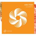 iZotope Nectar Elements