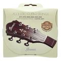Ibanez IACSP62C Acoustic Steel