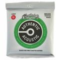 Martin Guitars MA-540S Authentic Acoustic Set