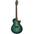 ESP LTD TL-6 Fm AQMB