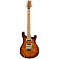 PRS SE Custom 24 Floyd Roasted TN