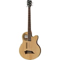 Warwick Alien Deluxe 5 Hybrid Thinline