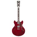 DAngelico Premier DC12 Trans Wine