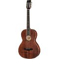 Framus FP 14 M Parlor Legacy Series