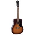 Recording King RDS-9-12-TS 12 String