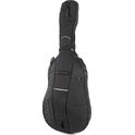 Roth &amp; Junius BSB-01 3/4 BK/BK Bass Soft Bag