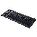 Roli Seaboard Rise 25