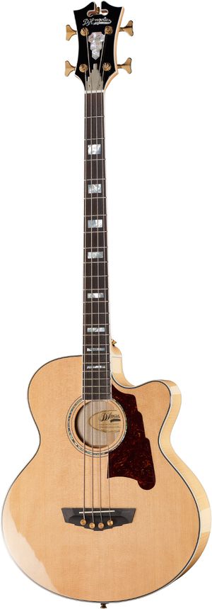 D'Angelico Mott Acoustic Bass