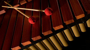 Orchestral Percussion