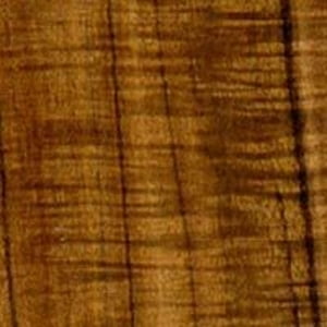 Koa Koa