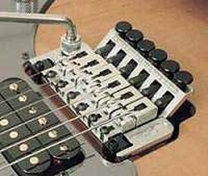 Floyd Rose Floyd Rose