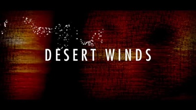 Best Service Desert Winds